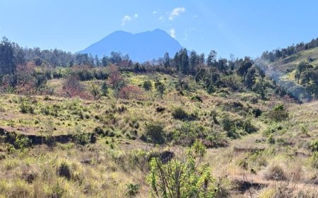 Pemkab Bondowoso Fasilitasi Aspirasi Masyarakat Ijen Soal Penyelesaian Lahan, Surat Resmi Dikirim ke PTPN