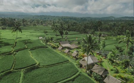 Hadirkan Ijen Golden Route, Banyuwangi Kenalkan Destinasi Hidden Gem Seputar Kaki Ijen