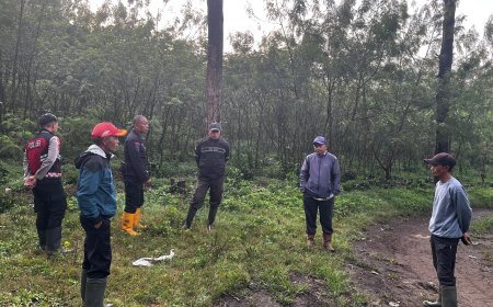 18 Ribu Pohon Kopi Dirusak, Dugaan Konflik Lahan di Ijen Memanas