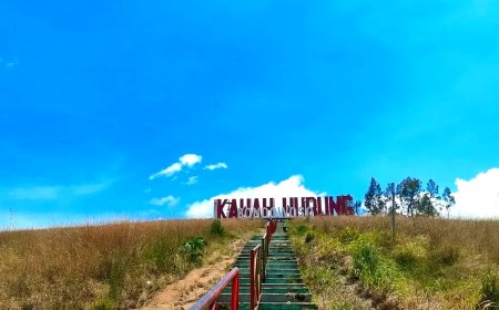 Meski Gagal, Penanaman Alpukat di Savana Kawah Wurung Tuai Protes, Perhutani Akui Salah Lokasi
