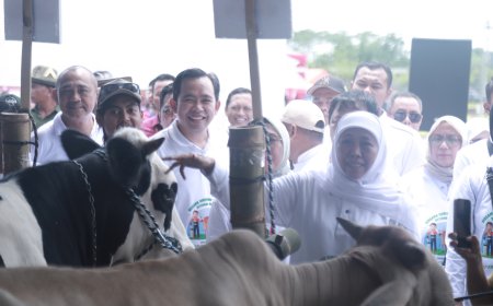 Dari Jember, Gubernur Jatim Siapkan Swasembada Daging Melalui Program IB