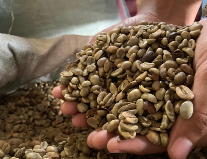 Produksi Kopi Capai 11.700 Ton pada 2024, DPRD Minta Pemkab Jember Bangun Branding ‘Kopi Raung’ dan ‘Kopi Argopuro’