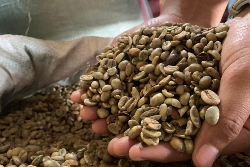 Produksi Kopi Capai 11.700 Ton pada 2024, DPRD Minta Pemkab Jember Bangun Branding ‘Kopi Raung’ dan ‘Kopi Argopuro’