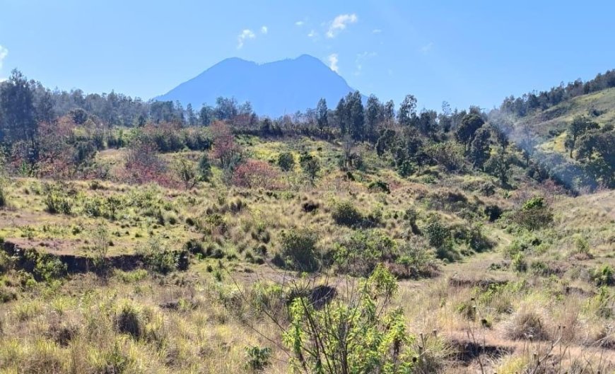 Pemkab Bondowoso Fasilitasi Aspirasi Masyarakat Ijen Soal Penyelesaian Lahan, Surat Resmi Dikirim ke PTPN