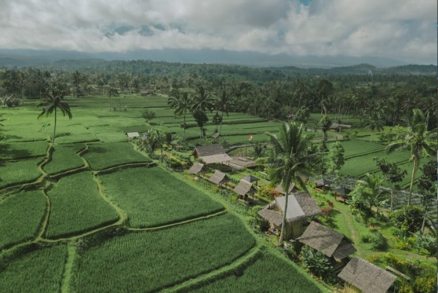 Hadirkan Ijen Golden Route, Banyuwangi Kenalkan Destinasi Hidden Gem Seputar Kaki Ijen