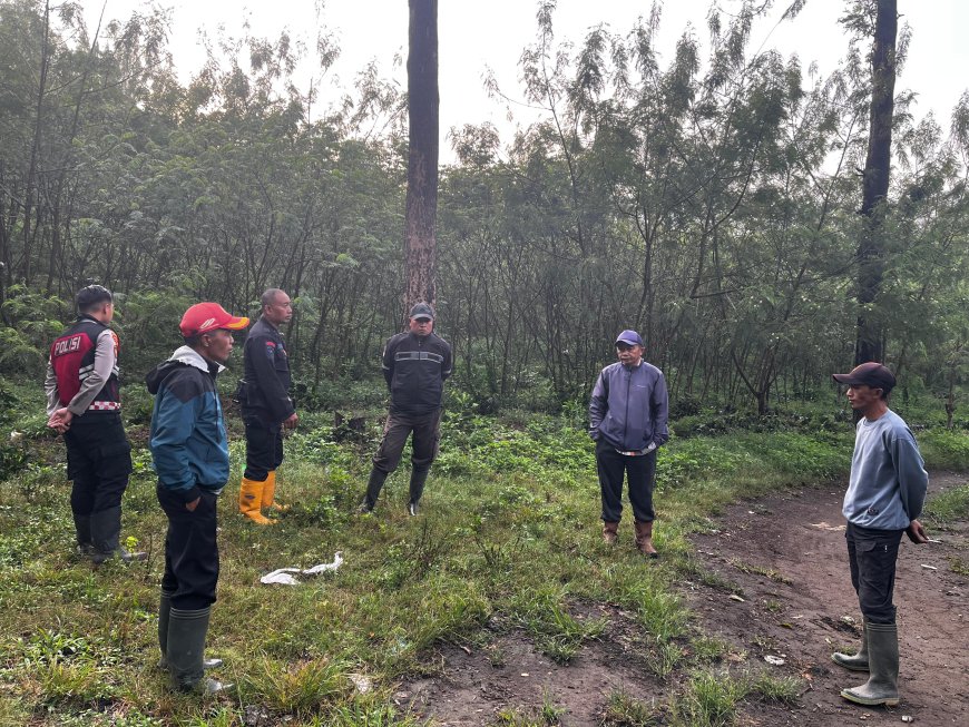 18 Ribu Pohon Kopi Dirusak, Dugaan Konflik Lahan di Ijen Memanas