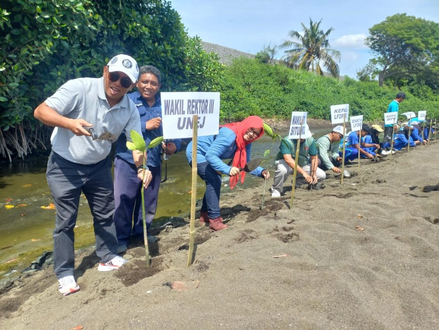 Unej dan Pemkab Situbondo Tanam 500 Mangrove di Kapongan untuk Atasi Abrasi Pantai