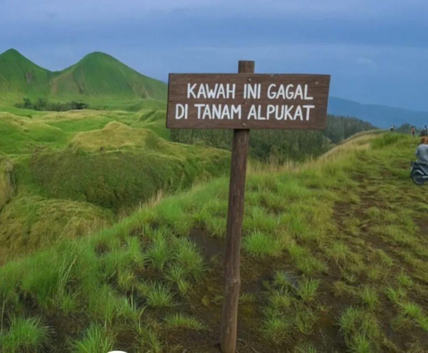 Kritik Pedas DPRD Bondowoso soal Penanaman Alpukat di Kawah Wurung, Meski Batal, “Jangan Usik Keasriannya!”