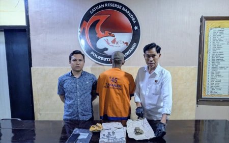 Satresnarkoba Polresta Banyuwangi Ungkap Peredaran Ganja 32,86 Gram; Satu Tersangka Diamankan