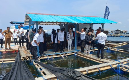 Menteri KKP Dorong Budidaya Ikan Situbondo M, Targetkan Suplai Protein MBG Nasional