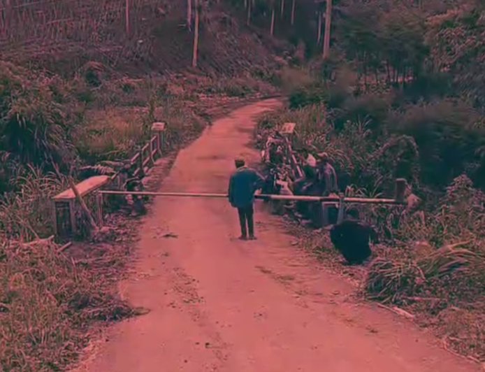 Aksi Berulang Pengrusakan Kebun Kopi PTPN I di Sempol Bondowoso, Ancam Kerugian Negara Miliaran Rupiah