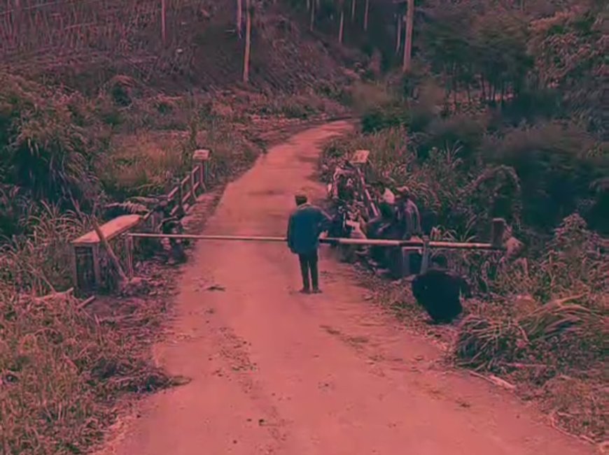 Aksi Berulang Pengrusakan Kebun Kopi PTPN I di Sempol Bondowoso, Ancam Kerugian Negara Miliaran Rupiah