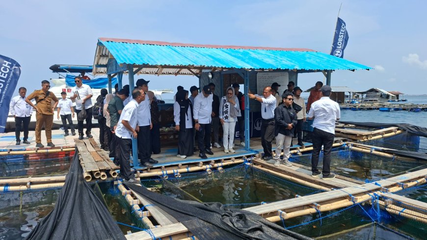 Menteri KKP Dorong Budidaya Ikan Situbondo M, Targetkan Suplai Protein MBG Nasional
