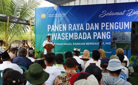 Berkontribusi pada Swasembada Pangan Nasional, Banyuwangi Surplus Ratusan Ribu Ton Beras dan Jagung