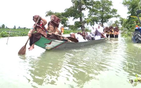Banjir Bengawan Jero Lamongan Rendam Bojoasri, Air Capai 80 Sentimeter Warga Terisolir