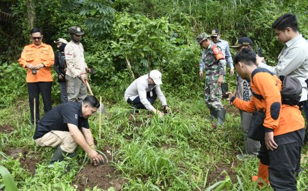 Media Turut Ambil Peran, JMSI Warnai Penanaman 2.000 Pohon oleh Pemkab Bondowoso