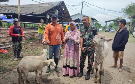 Distribusikan Bantuan Sapi dan Kambing secara bertahap, Pemkab Situbondo Pastikan Tepat Sasaran kepada Buruh Tani Terdampak