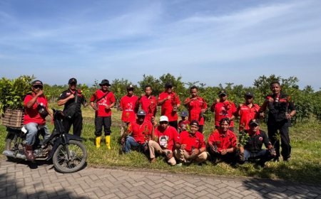 HUT ke 79 Megawati Soekarnoputri, PAC PDI Perjuangan Bangorejo Banyuwangi Gelar Aksi Penanaman Ratusan Bibit Pohon Produktif