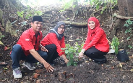 Merawat Pertiwi, Anggota DPRD Banyuwangi Fraksi PDI Perjuangan, Desi Prakasiwi Gelar Gerakan Tanam Pohon dan Tebar Bibit Ikan