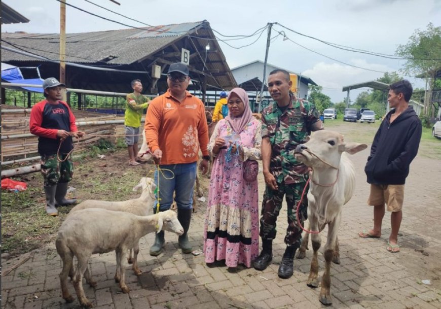 Distribusikan Bantuan Sapi dan Kambing secara bertahap, Pemkab Situbondo Pastikan Tepat Sasaran kepada Buruh Tani Terdampak