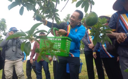 Rombongan Brudifa Brunei Tinjau Potensi Kebun Alpukat Situbondo