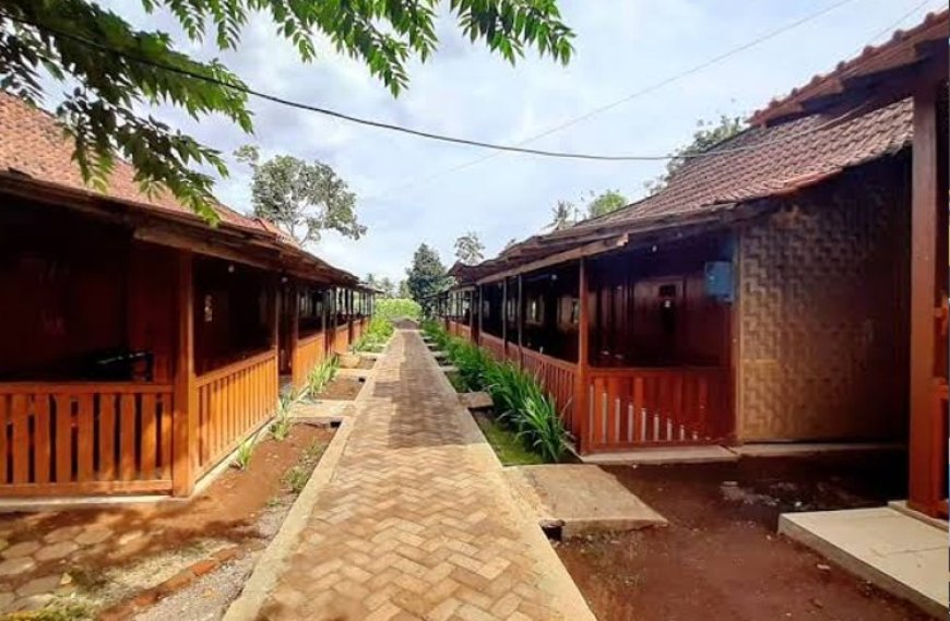 Desa Wisata Kemiren Banyuwangi Geliatkan Ekonomi Warga, Mulai Anak Muda hingga Lansia Berdaya