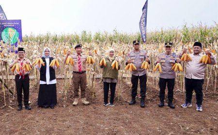 Banyuwangi Panen Raya Jagung Hibrida Varietas Jenderal