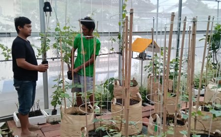 Lawan Mitos Mistis, Pemuda Situbondo Sukses Tanam 160 Jenis Anggur