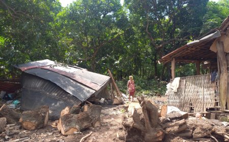 Kisah Pilu Nenek Rahmatil, Dapur Roboh Tertimpa Pohon Saat Siapkan Buka Puasa