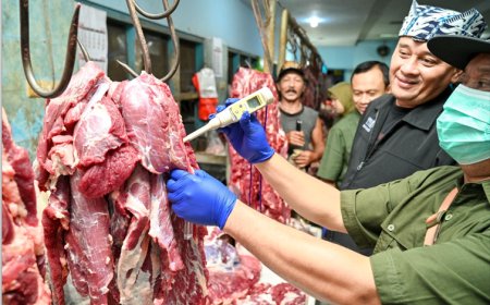 Jelang Hari Raya Idul Fitri 1447 H, Kebutuhan Daging Sapi di Banyuwangi Meningkat, Dispertan Pastikan Penuhi Standar ASUH