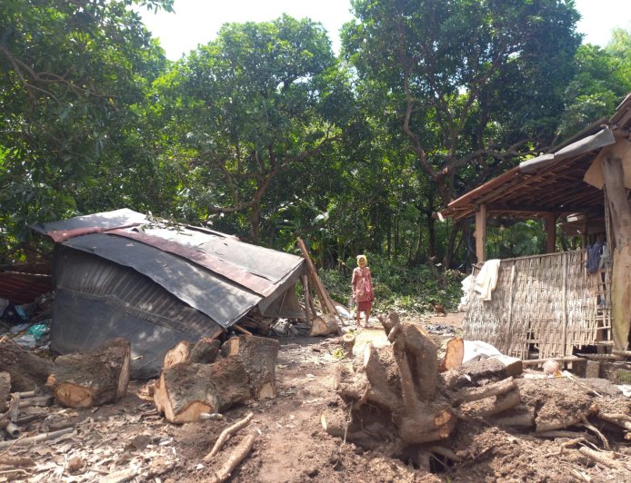 Kisah Pilu Nenek Rahmatil di Situbondo, Dapur Roboh Tertimpa Pohon Saat Siapkan Buka Puasa