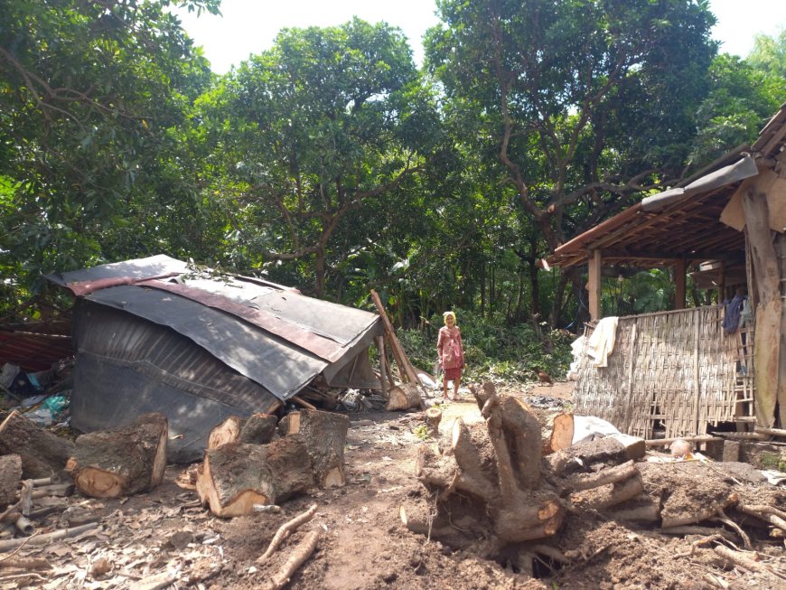 Kisah Pilu Nenek Rahmatil, Dapur Roboh Tertimpa Pohon Saat Siapkan Buka Puasa
