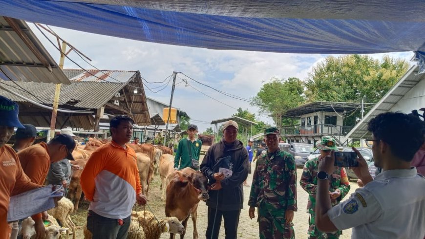 Pemkab Situbondo Salurkan Bantuan Ternak kepada 150 Buruh Tani Terdampak PSN Bandara