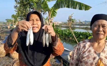 Petani Tambak Lamongan Menjerit, Banjir Berkepanjangan Picu Gagal Panen Massal