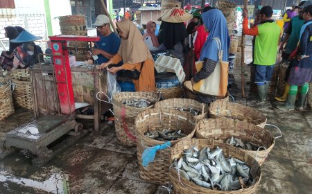 Harga Ikan Lamongan Anjlok Saat Panen Raya, Petani Tambak Mengeluh