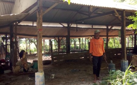 Empat Sapi Raib Digondol Maling, Warga Tuban Rugi Rp60 Juta