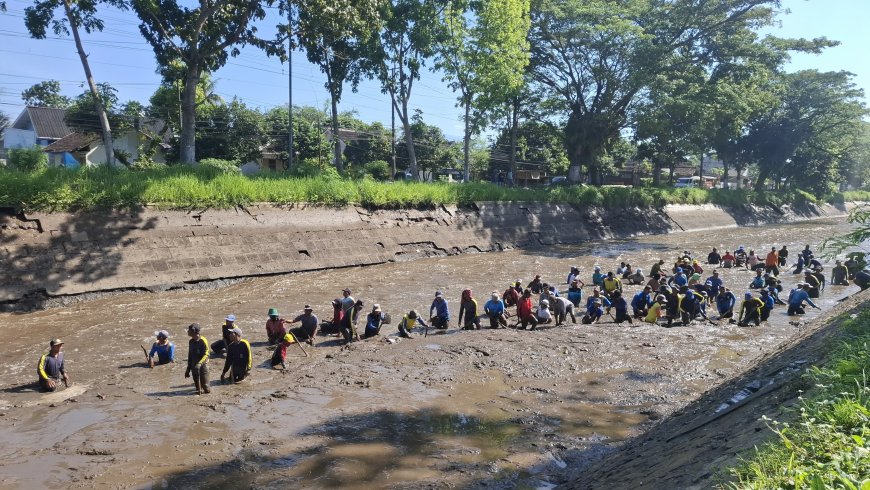 Aksi Gelontor Walet di Bendungan Desa Curah Malang Jember Libatkan Lintas Sektor