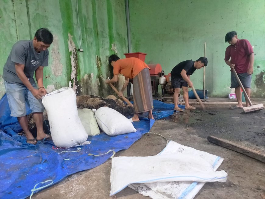 Sulap Limbah Dapur Jadi Nutrisi, Bank Sampah Induk Situbondo Olah Hingga 9 Ton Sampah