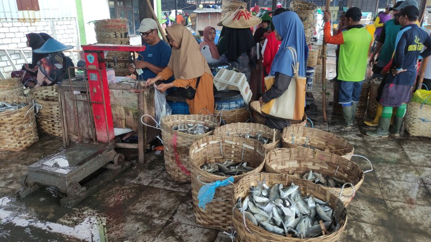 Harga Ikan Lamongan Anjlok Saat Panen Raya, Petani Tambak Mengeluh