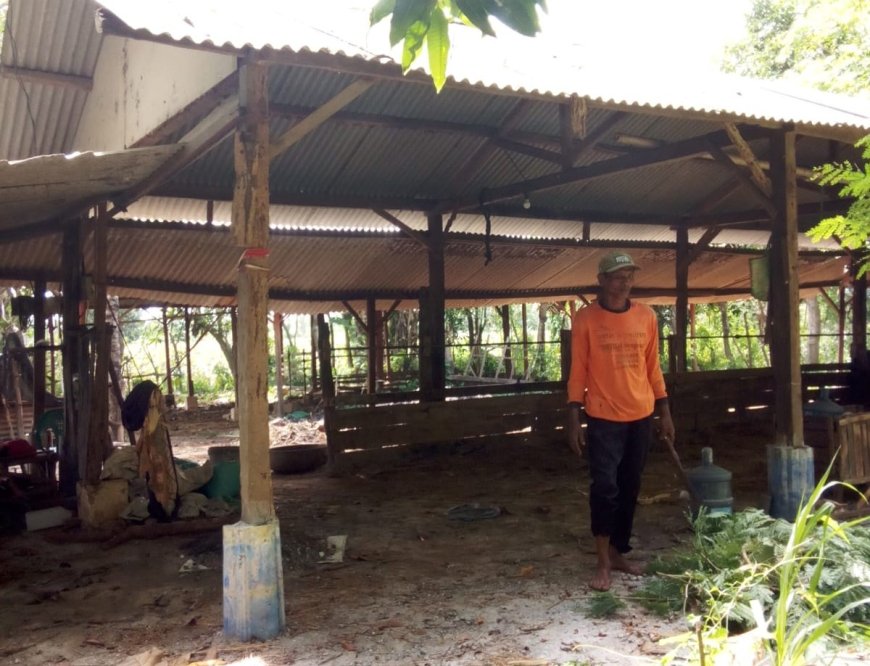 Empat Sapi Raib Digondol Maling, Warga Tuban Rugi Rp60 Juta