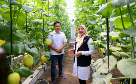 Program Bupati Ipuk Regenerasi Petani Berhasil, Kini Banyak Anak Muda Banyuwangi Berkreasi di Pertanian