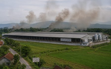 Izin Dipertanyakan, Kandang Ayam 100 Ribu Ekor di Mumbulsari Dikeluhkan Warga