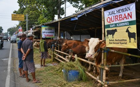 Jelang Idul Adha, Pemkab Jember Sisir Lapak Kurban dan Waspadai PMK