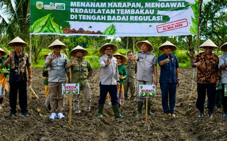 Petani Bondowoso Lawan Regulasi Nikotin, Tembakau Disebut Urat Nadi Ekonomi Daerah
