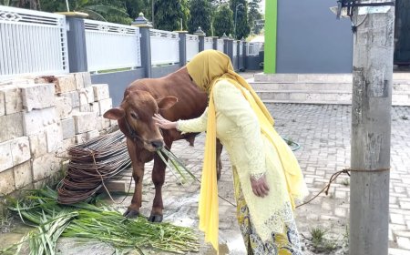 DWP Lamongan Salurkan Sapi Kurban ke Masjid yang Belum Pernah Menyembelih Sapi