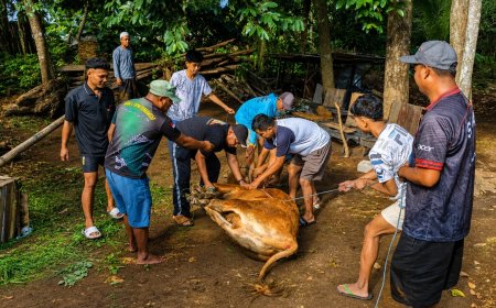 SPPG Padasan Bondowoso Tuai Pujian, Qurban Jadi Simbol Gotong Royong dan Kedermawanan