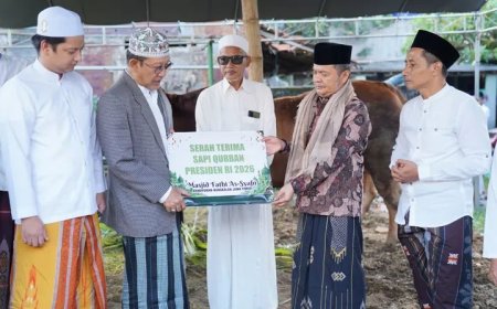 Idul Adha 1447 H, Bangkalan Terima Sapi Kurban Presiden Seberat 1,1 Ton