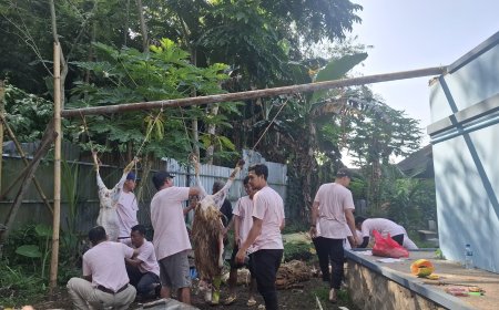 RSD Kalisat Salurkan 17 Domba dan 1 Sapi Kurban, Libatkan Pegawai hingga Tenaga Kesehatan