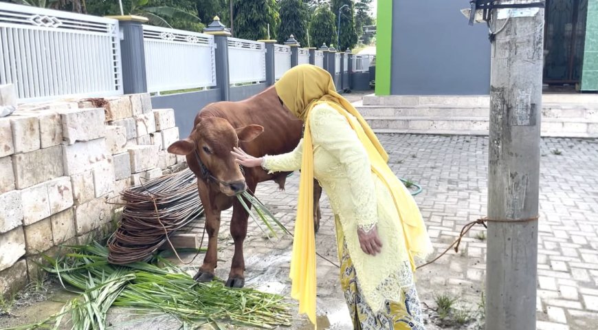 DWP Lamongan Salurkan Sapi Kurban ke Masjid yang Belum Pernah Menyembelih Sapi