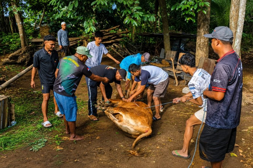 SPPG Padasan Bondowoso Tuai Pujian, Qurban Jadi Simbol Gotong Royong dan Kedermawanan